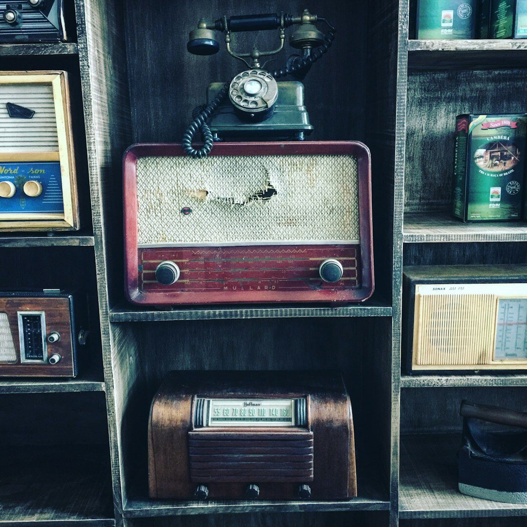 Radio novinar in predavatelj